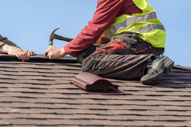 Best Residential Roofing Contractor  in Rockford, MN