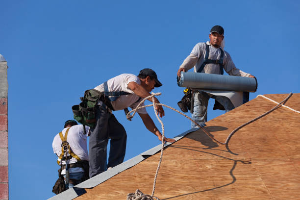 Best Roof Gutter Cleaning  in Rockford, MN