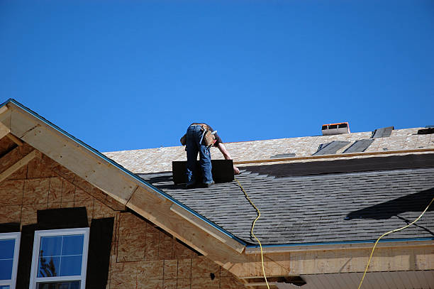Best Shingle Roofing Installation  in Rockford, MN