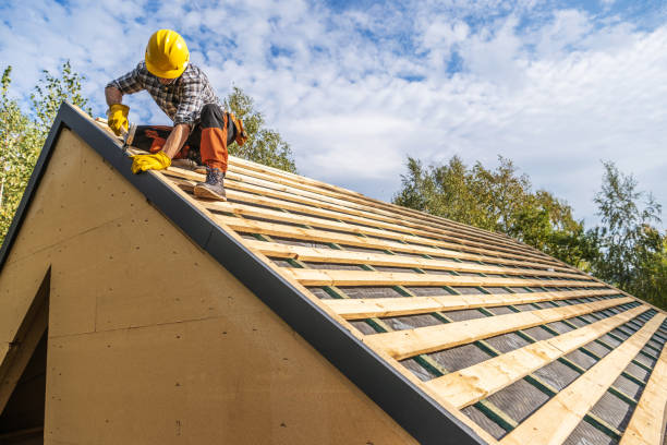 Best Roof Repair Services  in Rockford, MN